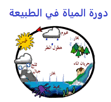 فيديو عن دورة المياة في الطبيعة